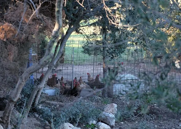 アパート Vranadika *